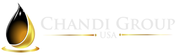 Chandi Group USA logo